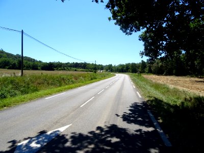 DSC02209 