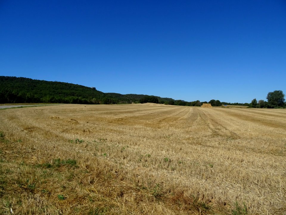 Prairie fauchée entre Saint-Martin-de-Pallières et Varages… 