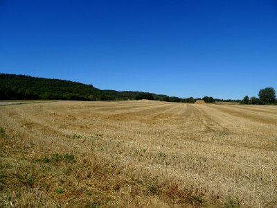 Prairie fauchée entre Saint-Martin-de-Pallières et Varages… 