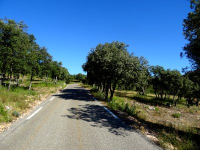 DSC02804 