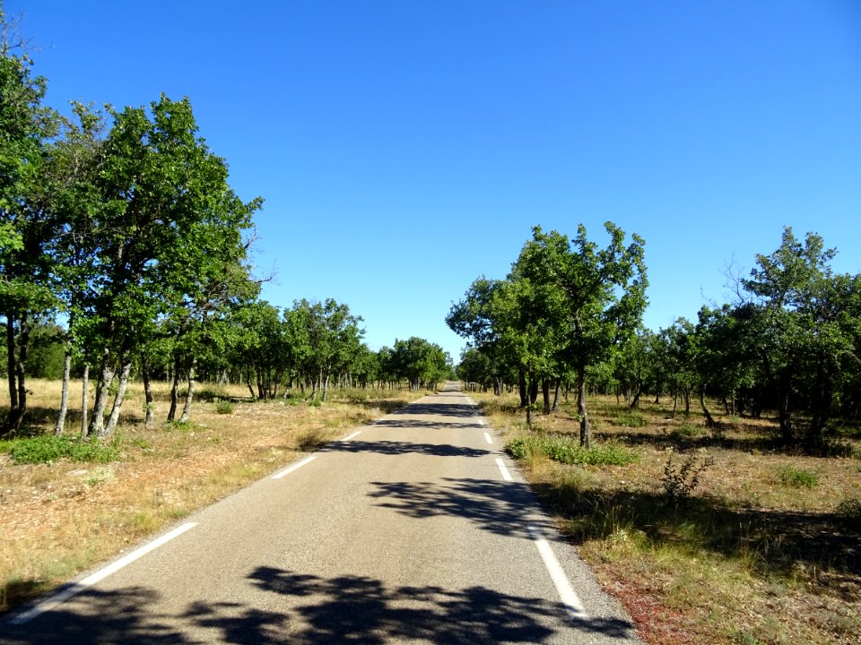 DSC02808 
