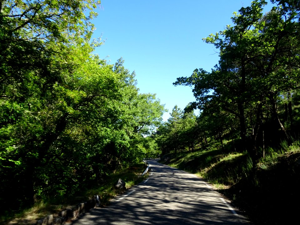 DSC02821 