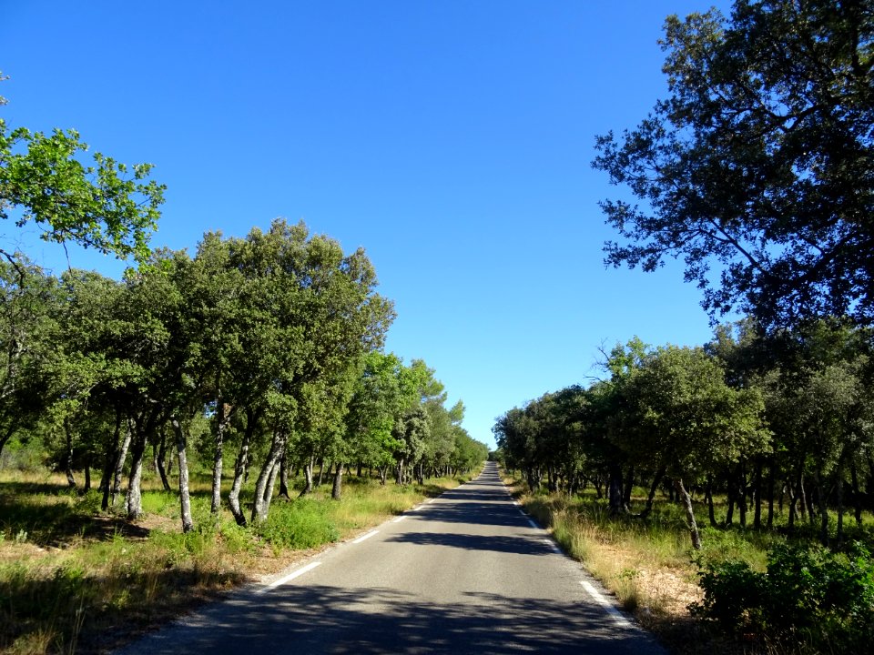DSC02801 