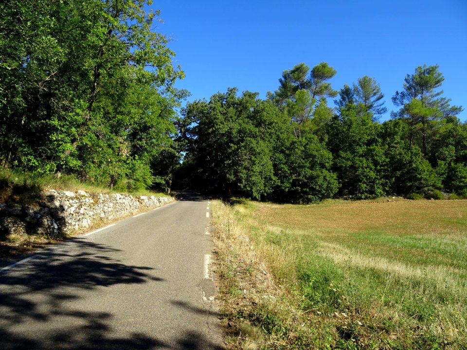Entre Mazaugues et Saint-Maximin-la-Sainte-Baume, paysage … 