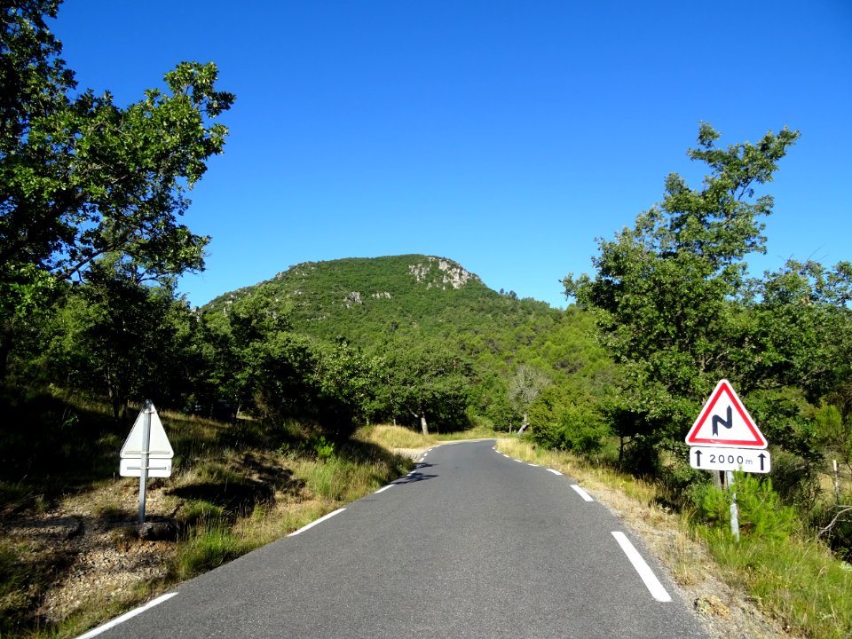 Dans la montée entre La Roquebrussanne et Mazaugues, Var 