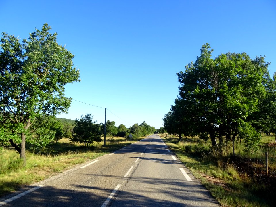 DSC02007 