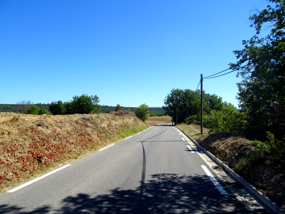 Sur la route D561 , entre Esparron et Saint-Martin-de-Pall… 