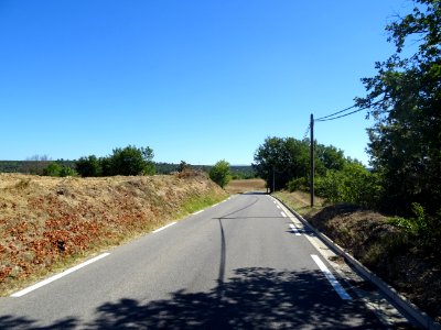 Sur la route D561 , entre Esparron et Saint-Martin-de-Pall… 