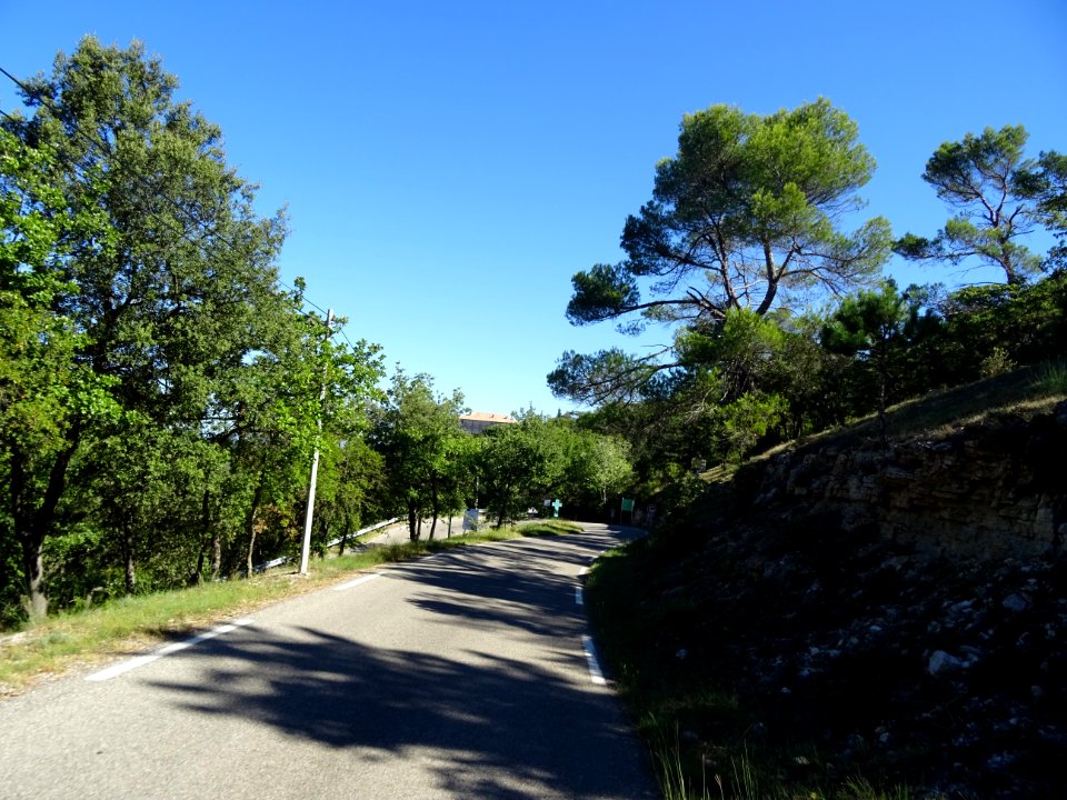DSC02816 