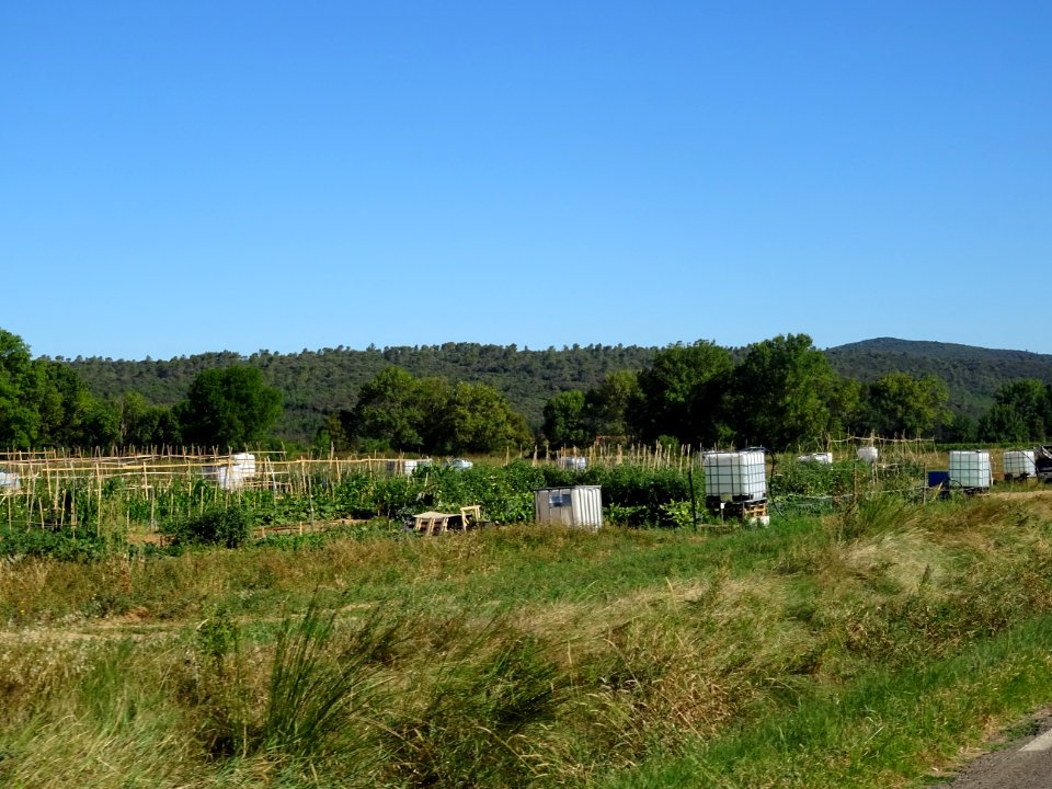 DSC02794 