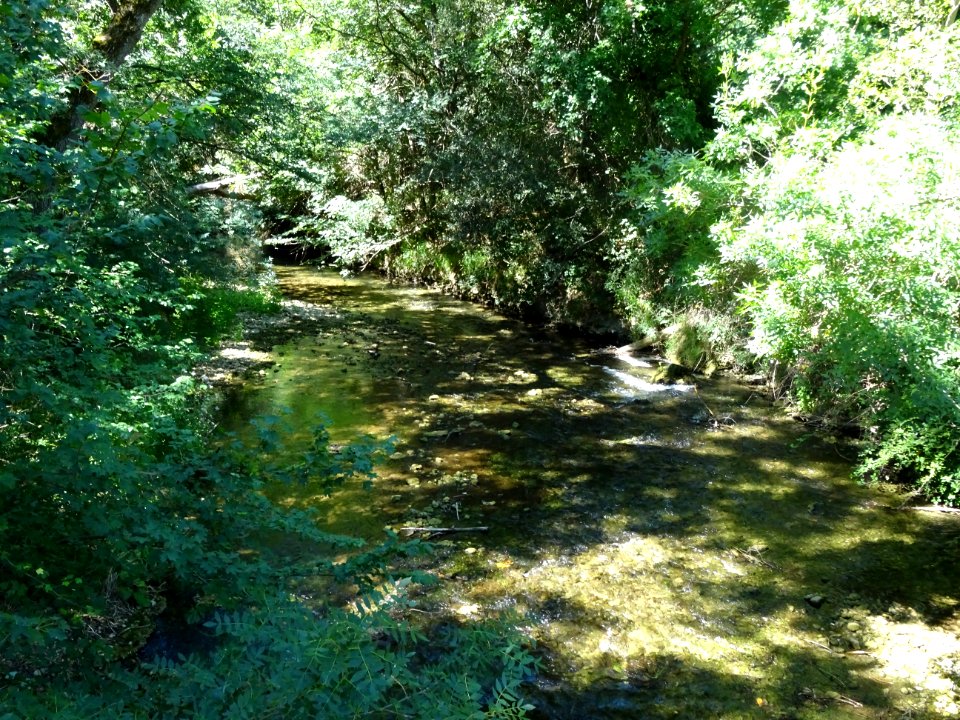 Ruisseau L'Eau Salée, Barjols, Var 