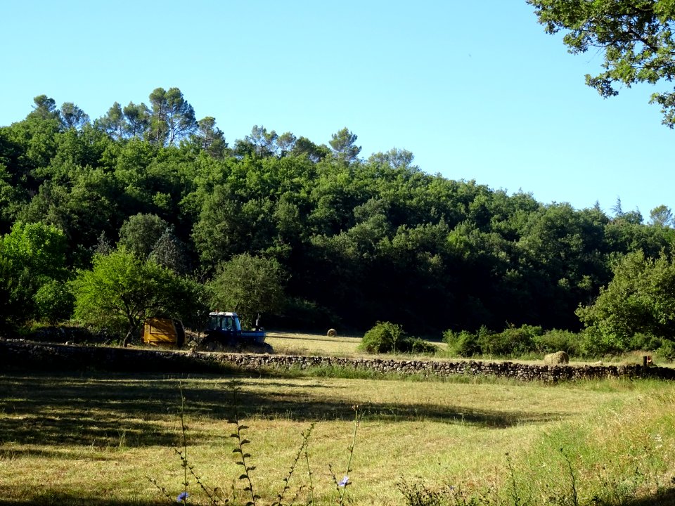 Tracteur Ford 