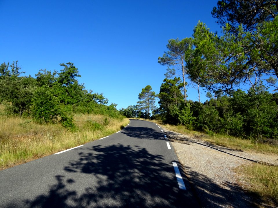 Dans la montée entre La Roquebrussanne et Mazaugues, Var 