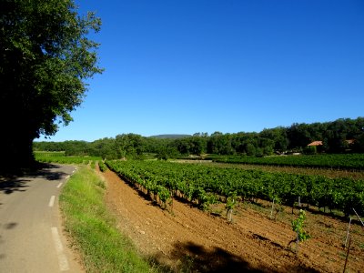 Entre Mazaugues et Saint-Maximin-la-Sainte-Baume, paysage … 