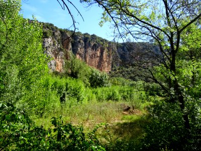 Falaise le long de la D13 entre Cabasse et Carcès, Var 