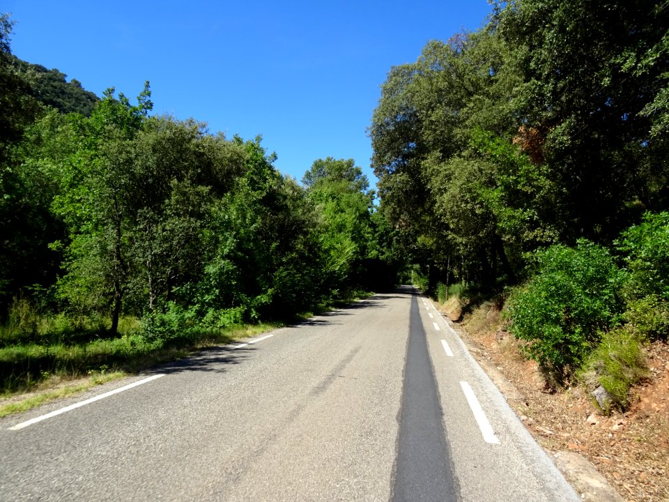 Sur la petite D24, entre le lac Sainte Suzanne et Vins-sur… 