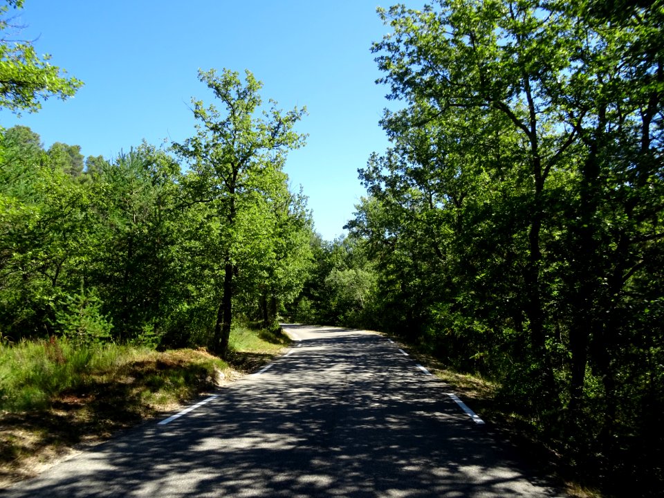 DSC02865 