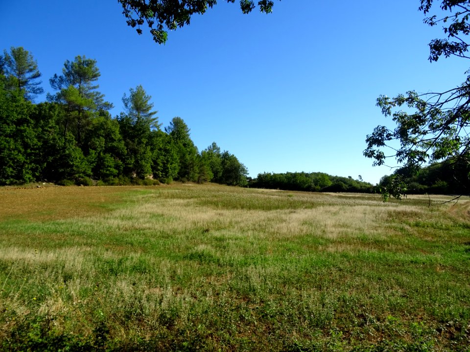 Entre Mazaugues et Saint-Maximin-la-Sainte-Baume, paysage … 