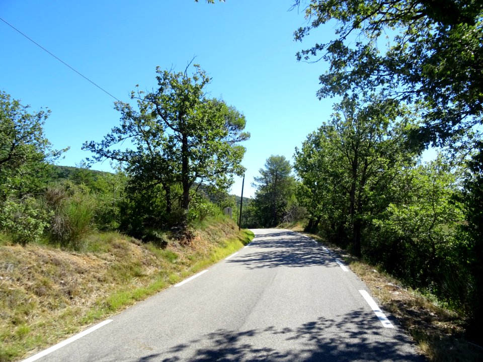 DSC02861 