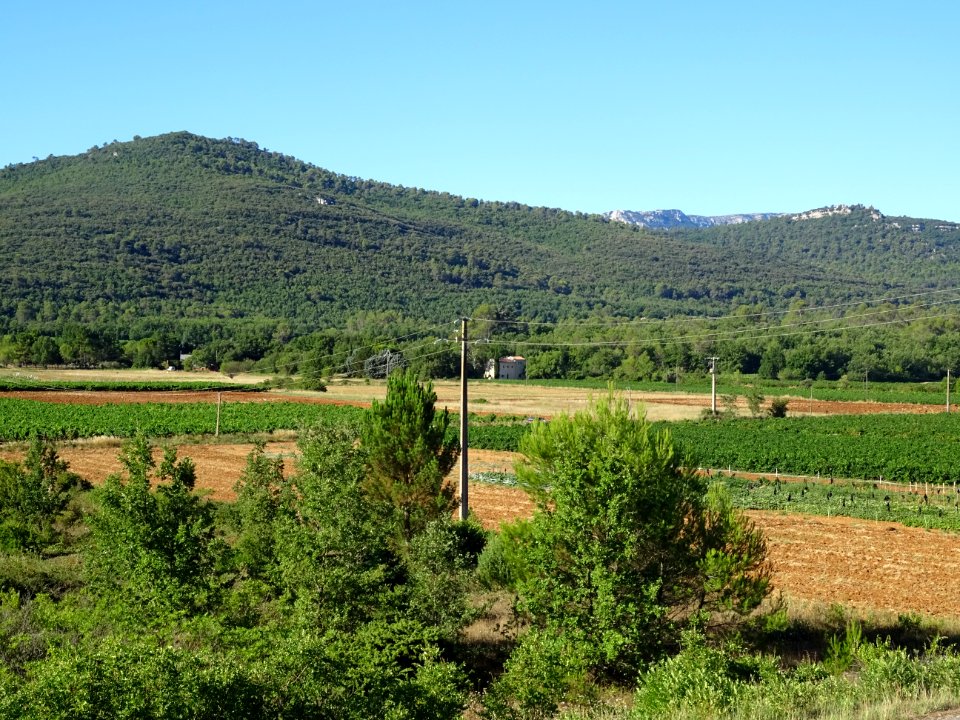 Entre Mazaugues et Saint-Maximin-la-Sainte-Baume, paysage … 