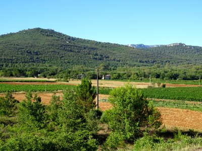 Entre Mazaugues et Saint-Maximin-la-Sainte-Baume, paysage … 