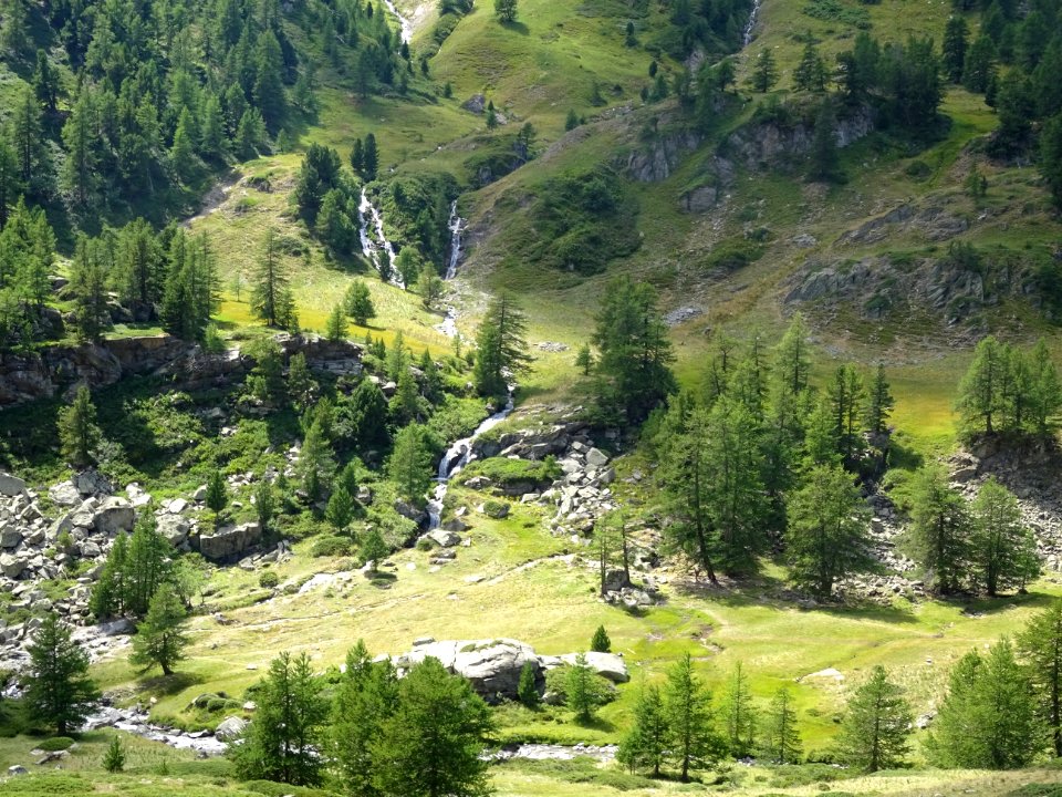 Cascades, mélèzes et prairies 