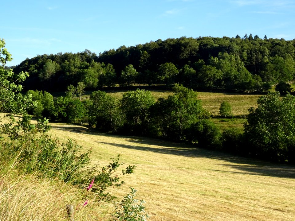 DSC01060 