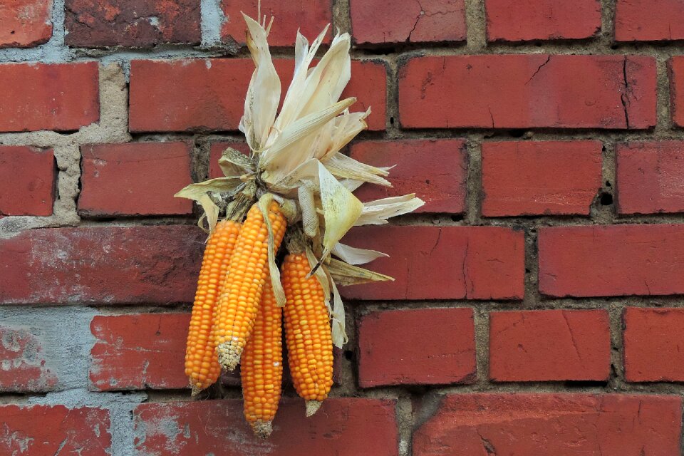 Hauswand stone wall autumn decoration