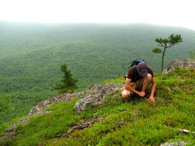 Picking blueberries people landscape