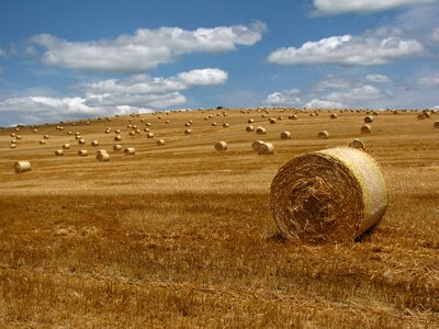 Straw bale region landscape