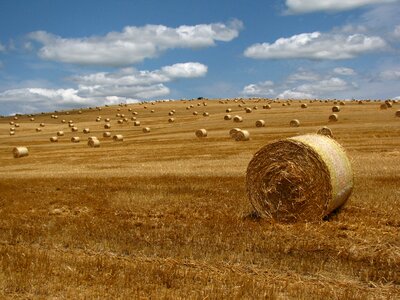 Straw bale region landscape photo