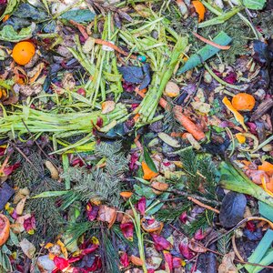 Waste recipes with leftovers compost heap