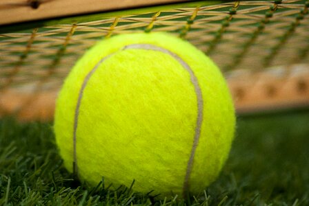 Tennis sport green photo