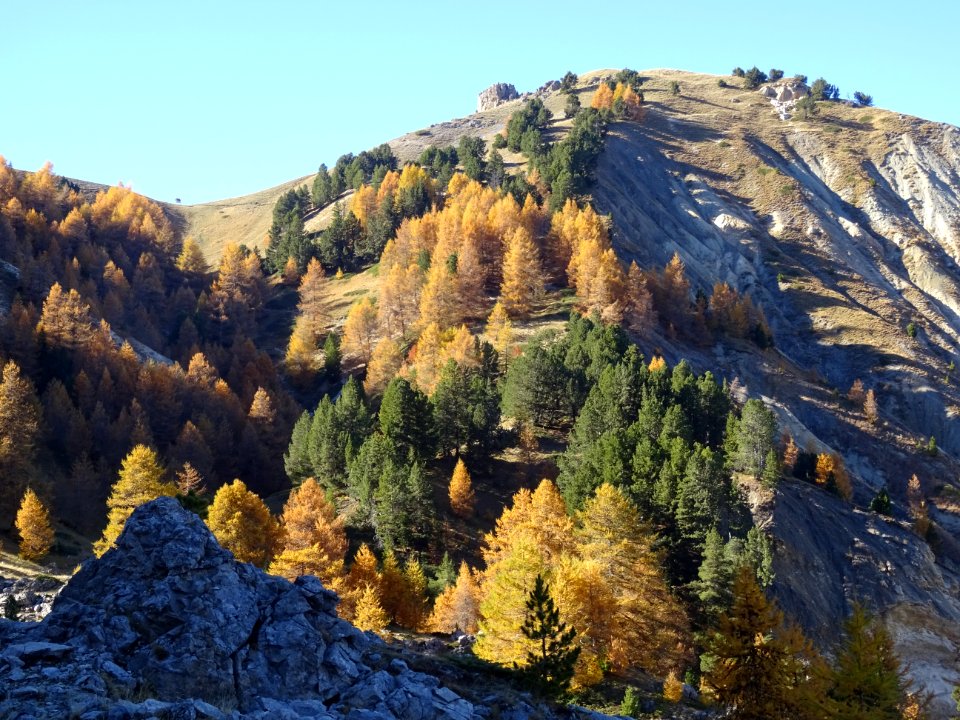 Dernier petit vallon sous le Col de la Rousse 
