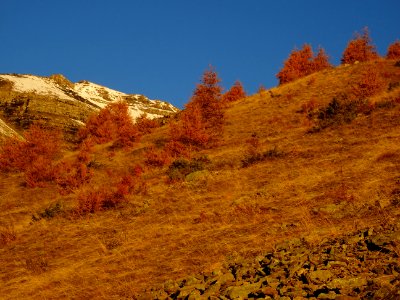 DSC07148 