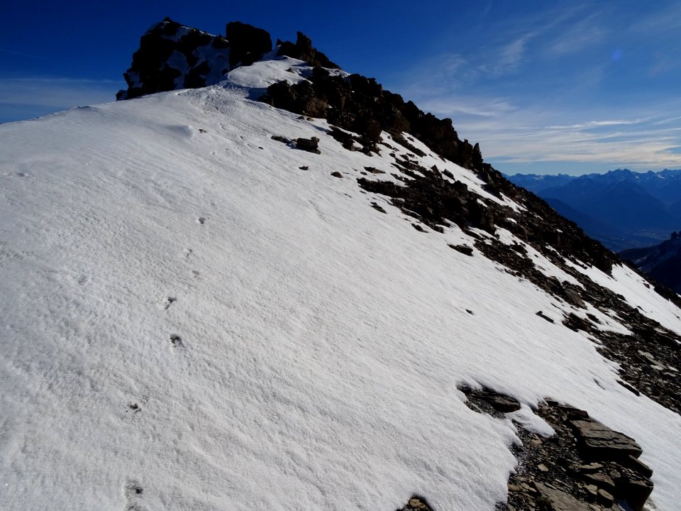 En se retournant ... mes propres traces dans la neige 