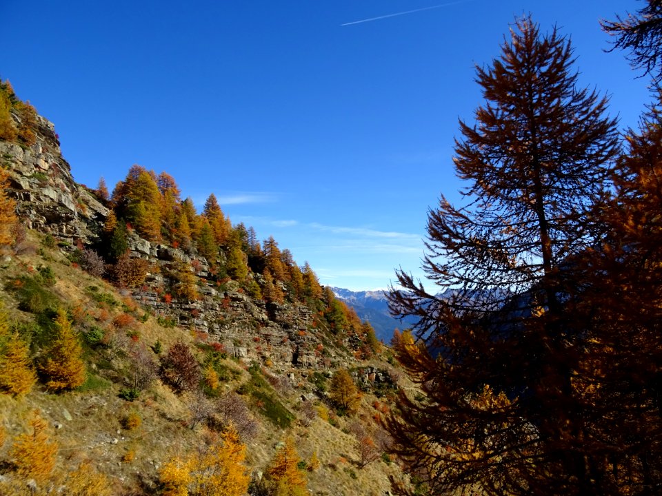 Les couleurs de l'automne sur l'Adret d'Odeyer 
