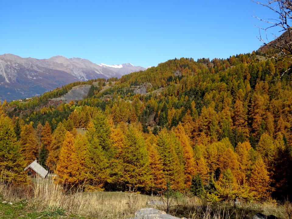 Juste au dessus de la Grande Cabane, vue vers le Pic de Ro… 