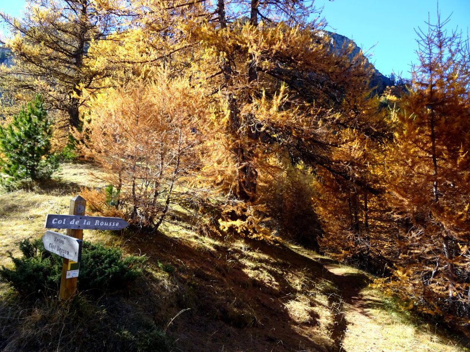 En haut de la crête du Vallon Clapier, petit panneau Col … | Flickr