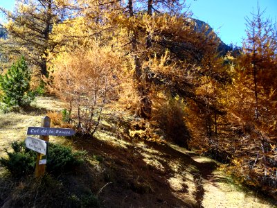 En haut de la crête du Vallon Clapier, petit panneau Col … | Flickr