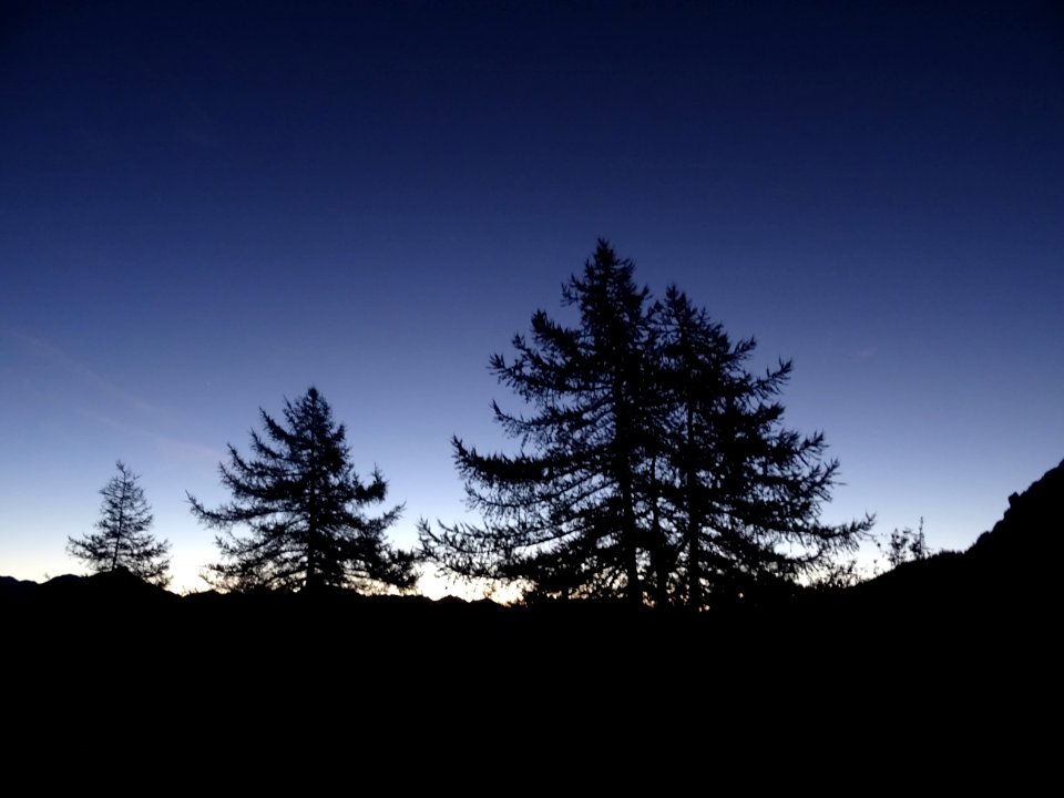Il fait encore nuit et à peine 1 ou 2°C ! 