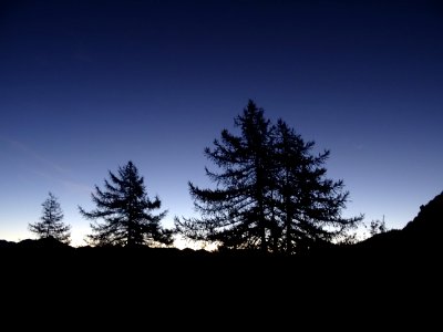 Il fait encore nuit et à peine 1 ou 2°C ! 