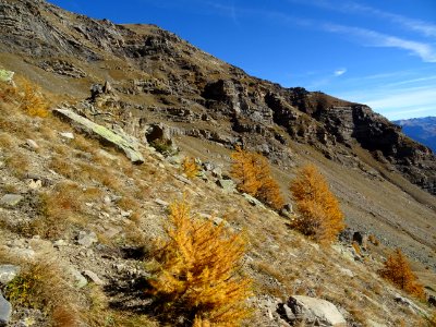 La couleur des mélèzes en automne dans les Hautes-Alpes photo