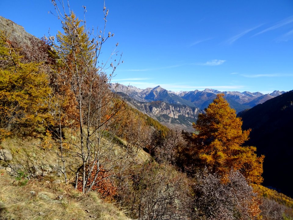 Vue vers la vallée de Freissinières 
