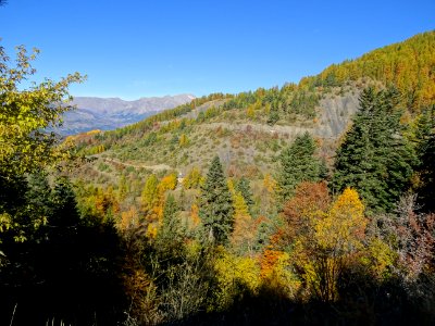 Couleurs d'automne 