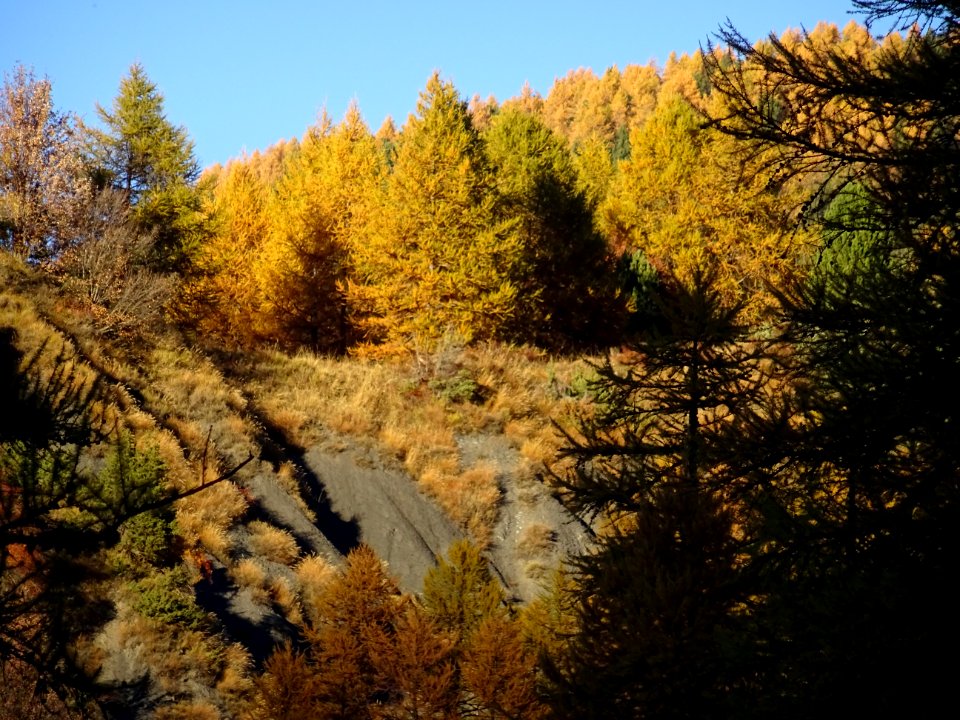 Dernières couleurs ... 