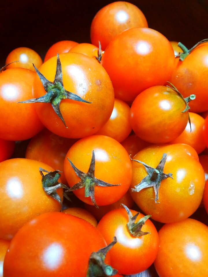 Red vegetarian vegan