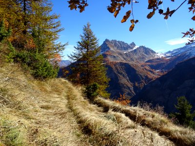 Chemin en balcon pour traverser le bas de l'Adret d'Odeyer… 