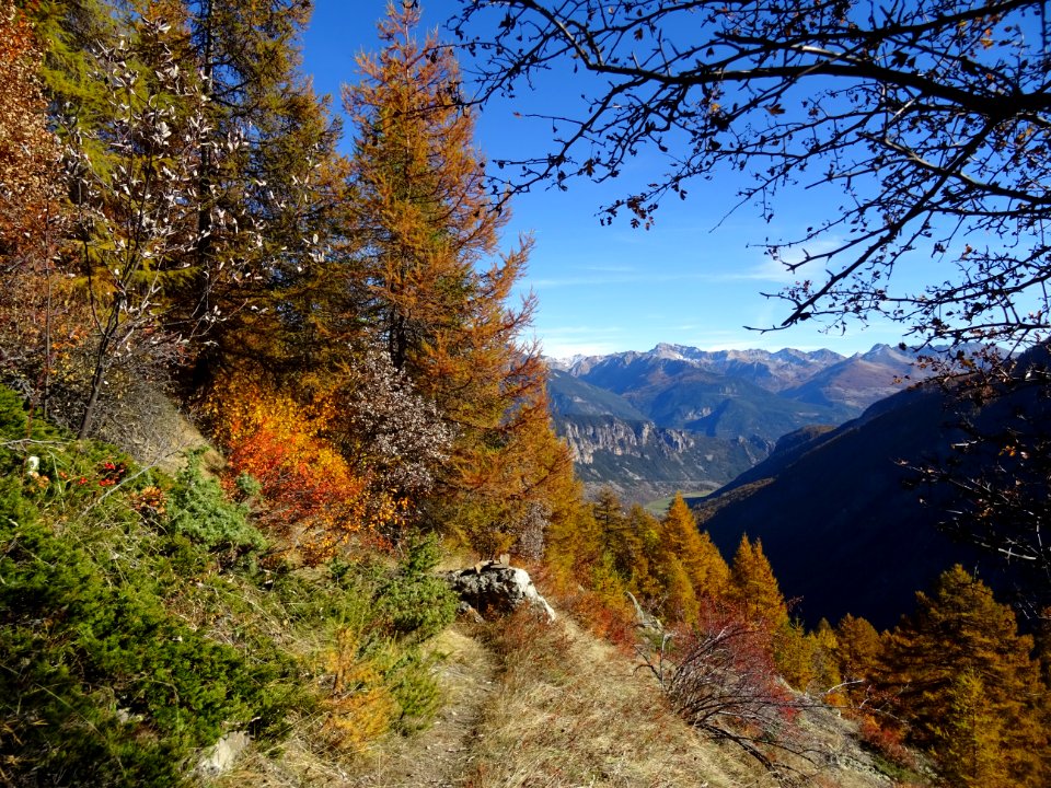Le chemin vers la ruine La Got, et la plaine de Freissin… 