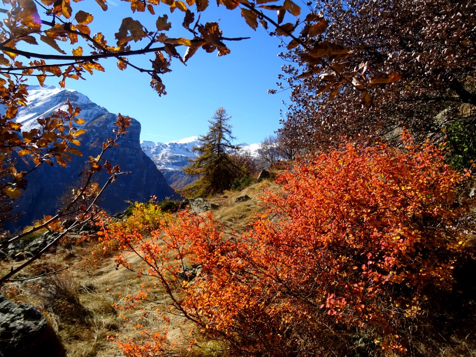 Une explosion de couleurs automnales ! 